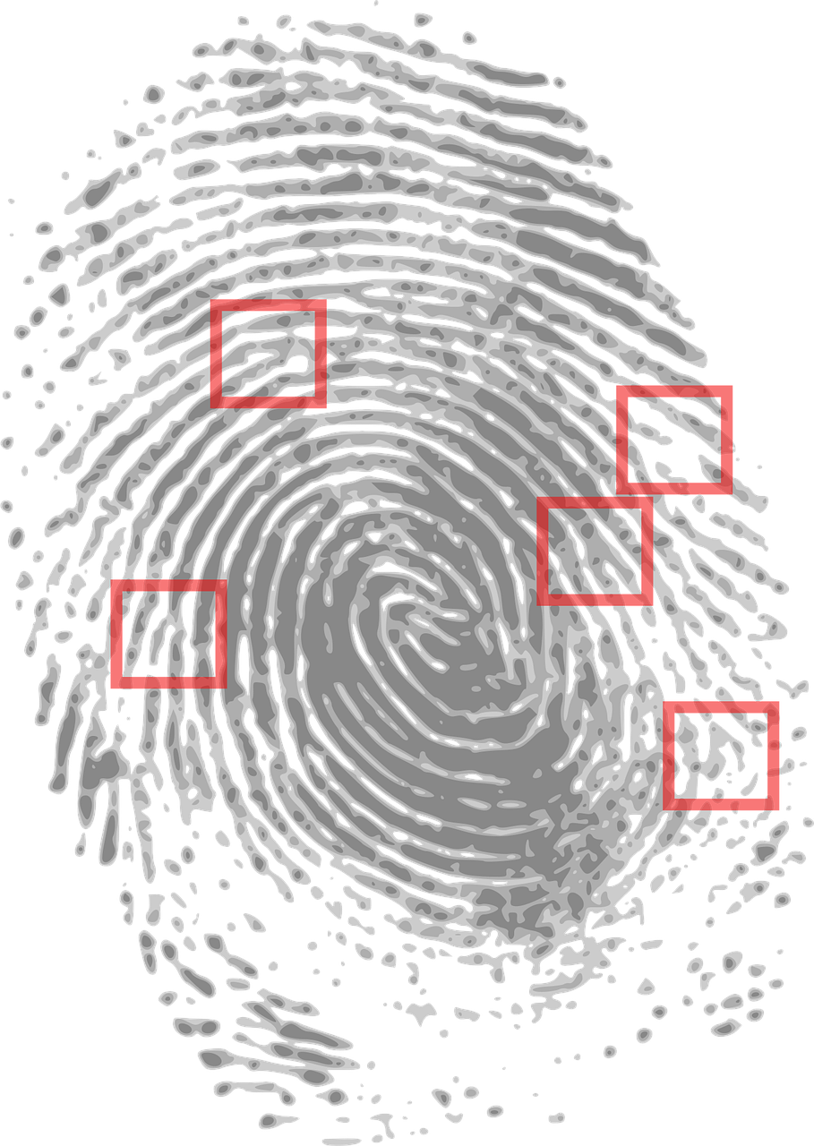 fingerprinting