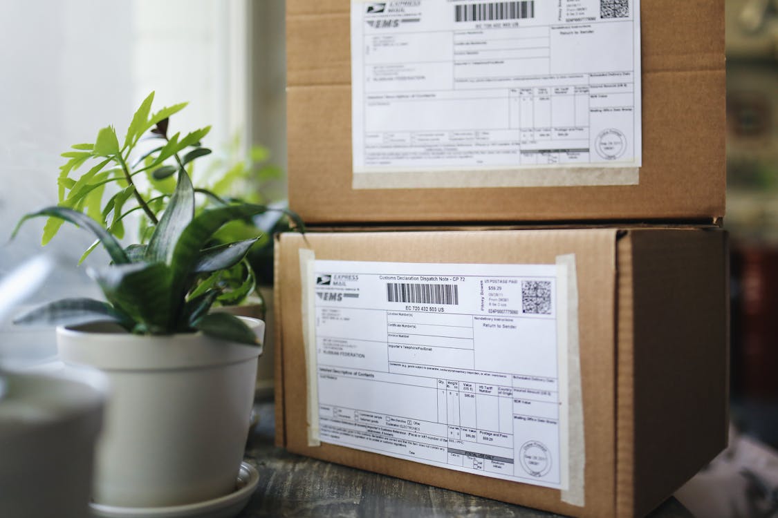 professional packaging and shipping